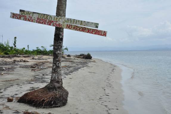 Estrelas do mar, uma das atrações em Boca del Drago, praia de Isla Colón, em Bocas del Toro, no Panamá